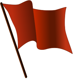Five Red Flags You Need To Watch Out for When Choosing a Web Designer